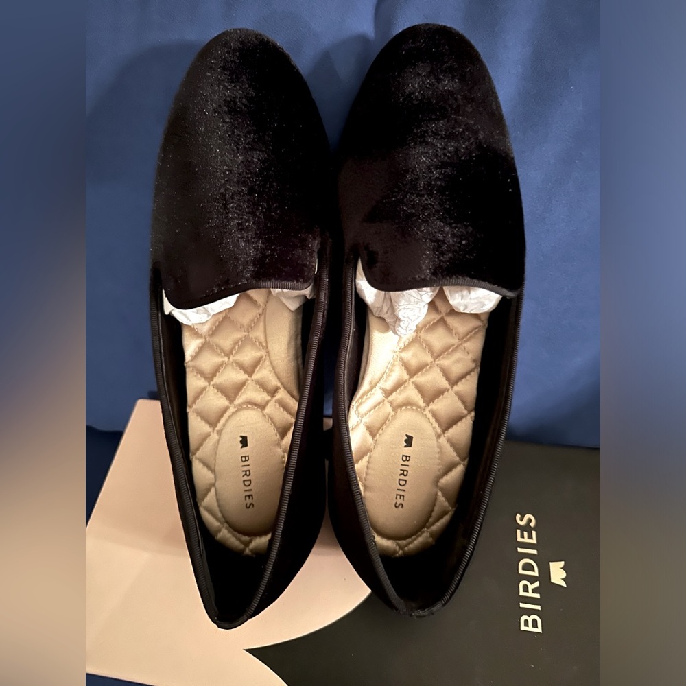 New in box Birdies Starling black velvet size 8